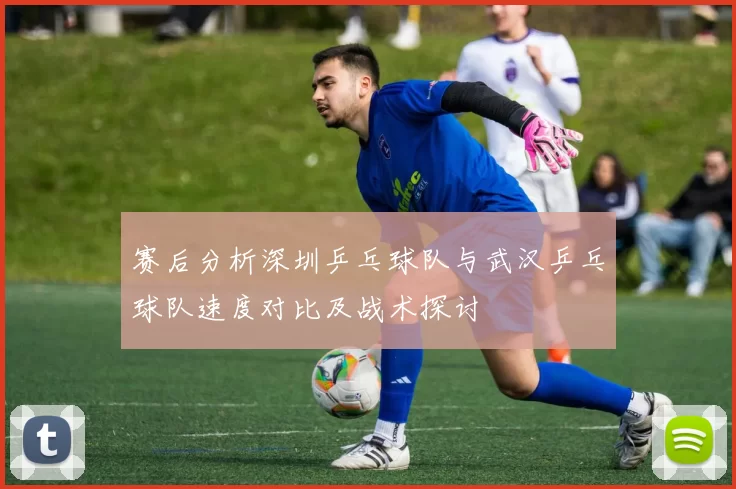 赛后分析深圳乒乓球队与武汉乒乓球队速度对比及战术探讨