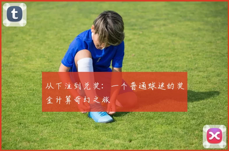 从下注到兑奖:一个普通球迷的奖金计算奇幻之旅