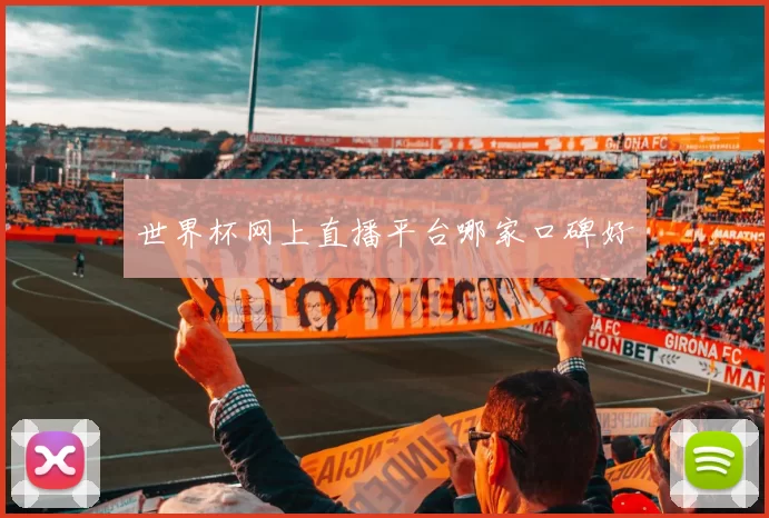 世界杯网上直播平台哪家口碑好