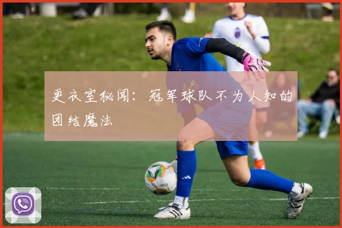 更衣室秘闻:冠军球队不为人知的团结魔法