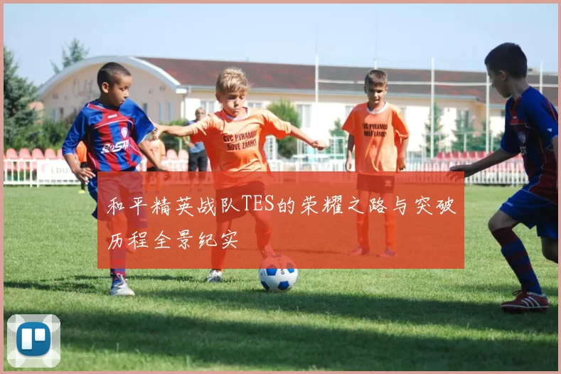 和平精英战队TES的荣耀之路与突破历程全景纪实